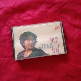 磁带 新星荟萃