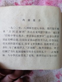 泰山铁罗汉 连环画