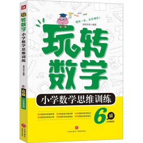 玩转数学小学数学思维训练 6级