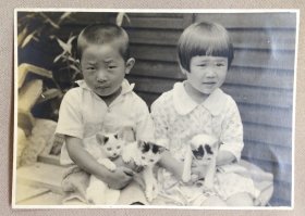 可爱的小男孩女孩抱着3只小猫咪留念 老照片