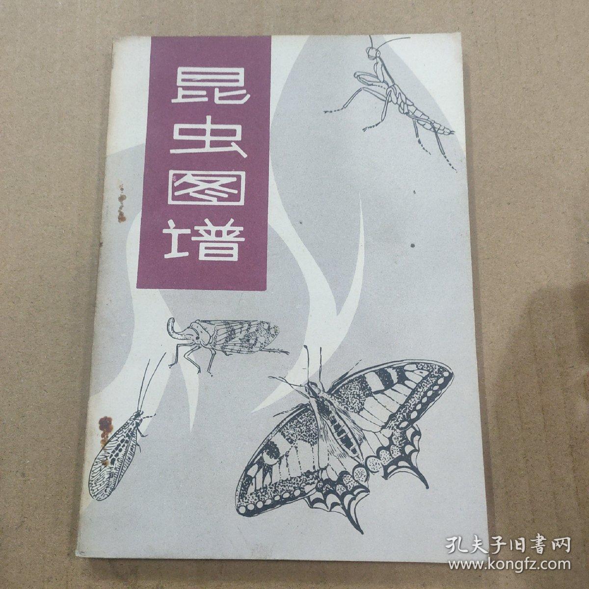 昆虫图谱