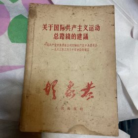 关于国际共产主义运动总路线的建议