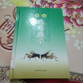 图说蟋蟀将军 馆藏 正版 无笔迹