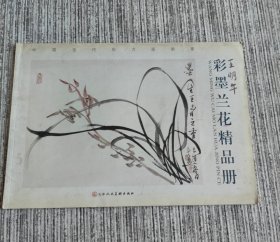 中国当代实力派画家：王明午彩墨兰花精品册
