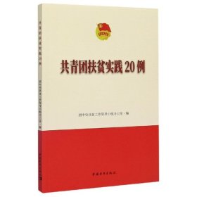 【正版书籍】共青团扶贫实践20例