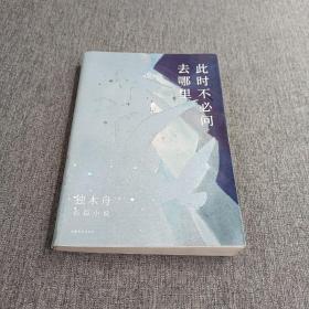 此时不必问去哪里（80后文学领军作家独木舟暌违五年，2020长篇力作）