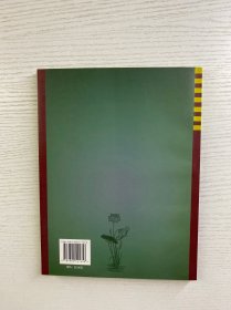 清净智悲光（正版如图、内页干净）
