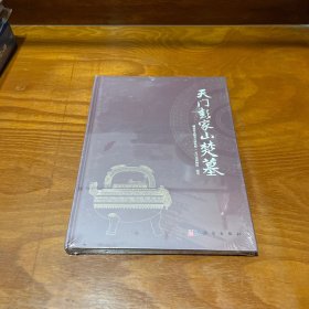 天门彭家山楚墓（未拆封）