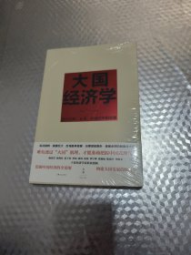 大国经济学：面向长期、全局、多维的中国发展
