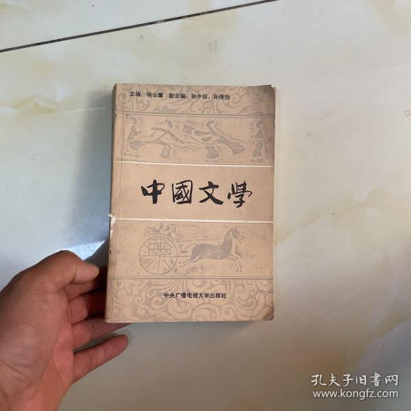 中国文学1989