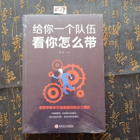 10册领导者管理的成功法则给你一个队伍看你怎么带+别输在不懂管理上企业领导力企业管理书籍