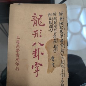 龍形八卦掌（一冊全）
