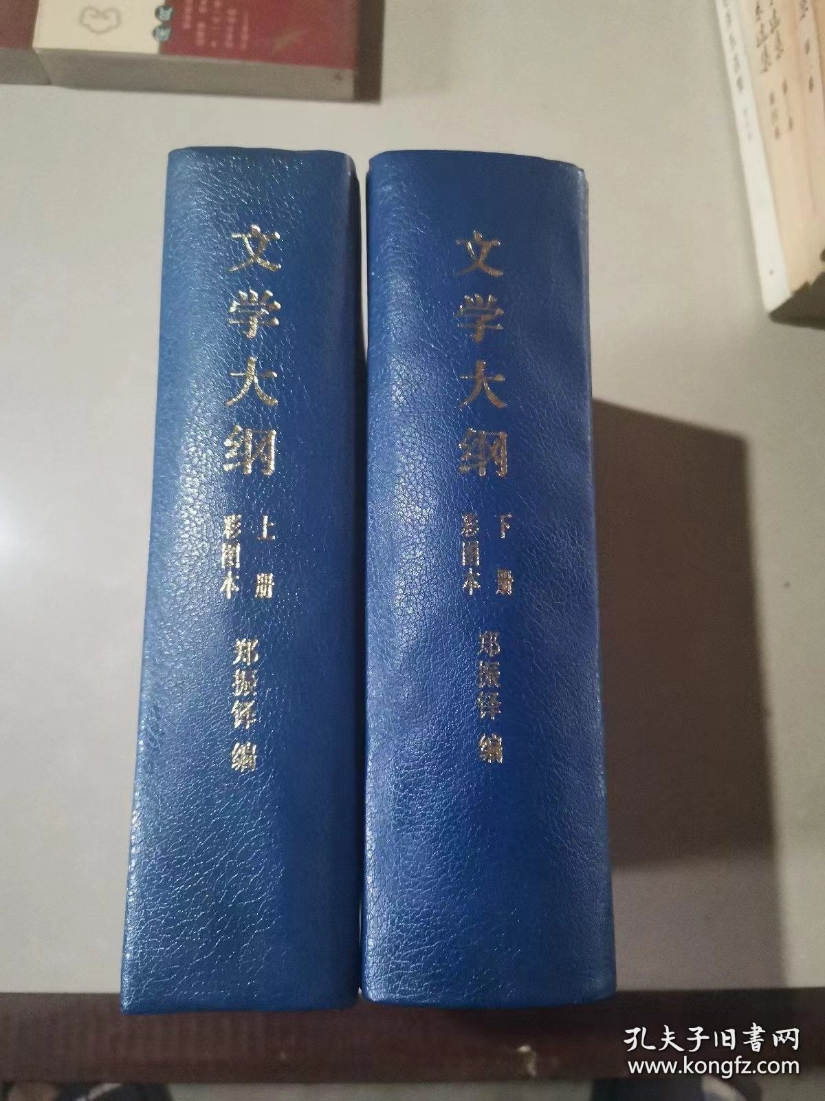 文学大纲（彩图本，上下册 精装）