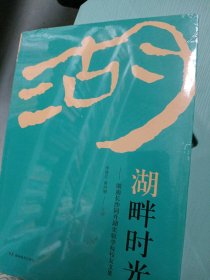 湖畔時光李清江9787553979311湖南教育出版社