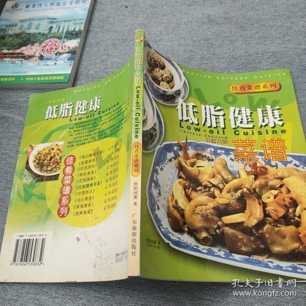 佳肴菜谱系列：中西凉拌（中英对照）