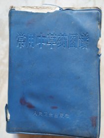 常用中草药图谱