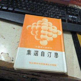 廖汀自選集