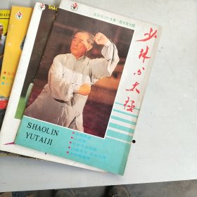 少林与太极（1991年 第1-6期）合售