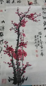 戴振杰 梅花小品