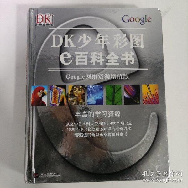 DK少年彩图e百科全书：Google网络资源增值版