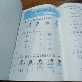 53天天练同步试卷 53全优卷小学语文 一年级上册 RJ 人教版 2023秋季根据最新统编教材编写