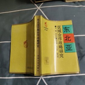東北亞區(qū)域合作戰(zhàn)略研究，9.98元包郵，