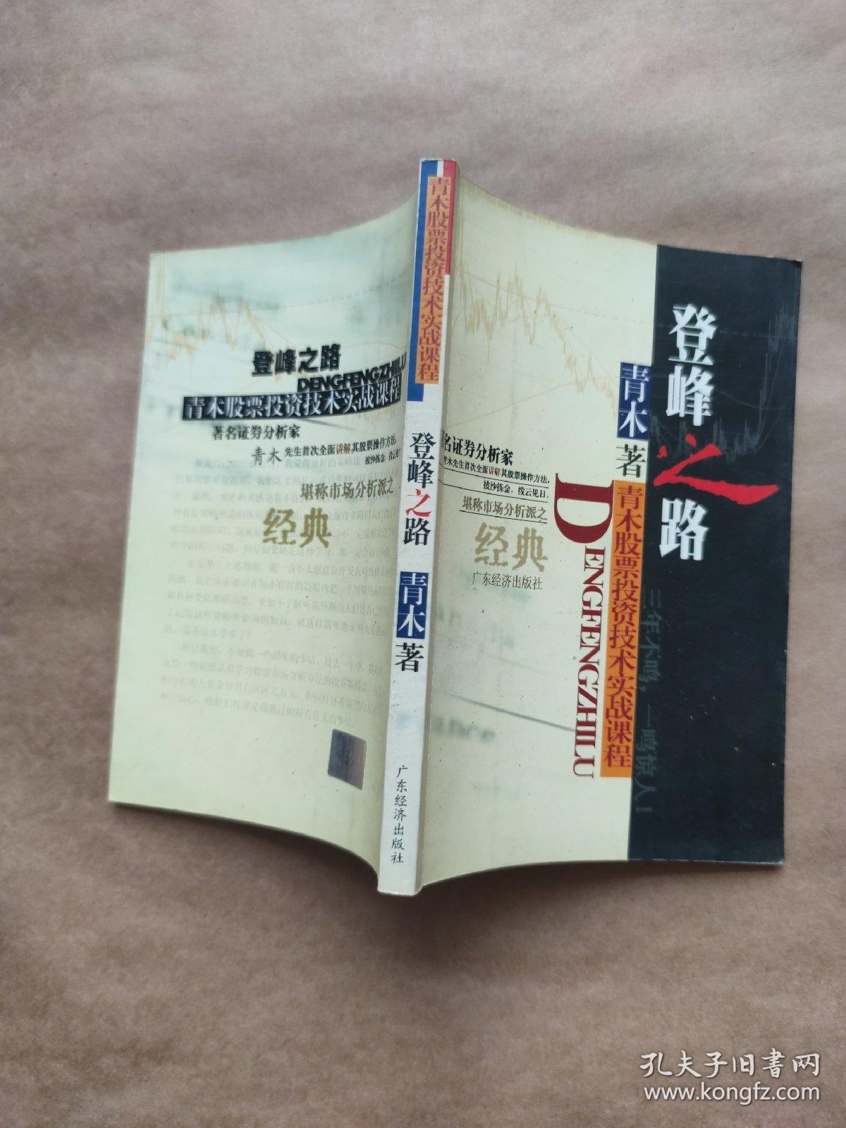 登峰之路：青木股票投资技术实战课程