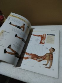 anatomy of a healthy back 健康背部解剖学【品如图】