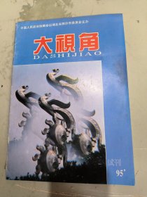 大视角 1995年 试刊号