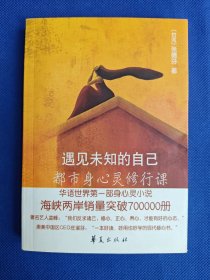 遇见未知的自己:都市身心灵修行课