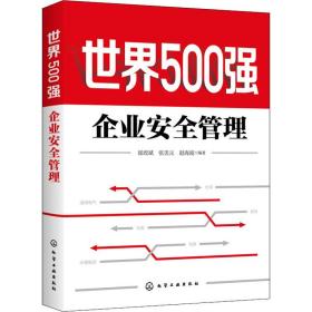 世界500强企业安全管理 管理理论 崔政斌，张美元，赵海波编 新华正版