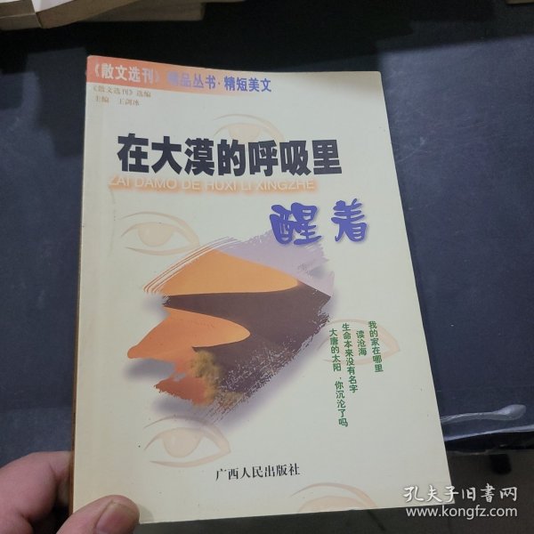 在大漠的呼吸里醒着