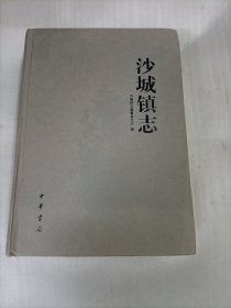 沙城镇志