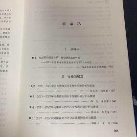 河南蓝皮书：河南能源发展报告（2022）