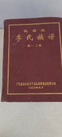 新2广东始兴地区陇西堂李氏族谱全套四本内容完整