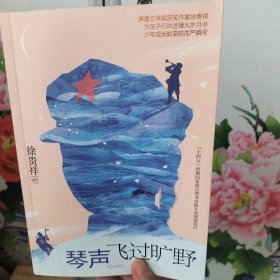 琴声飞过旷野