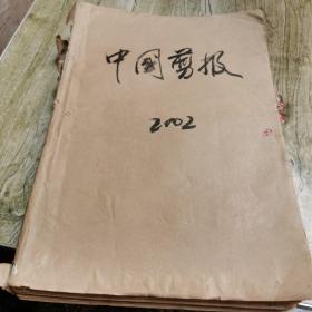 中国剪报
2002年全年报纸