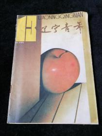 《辽宁青年》1993年第13期总第496期