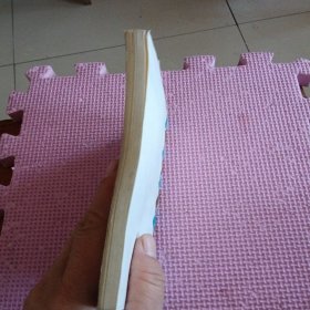 数学方法论入门