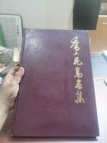 乔木花鸟画集 精装