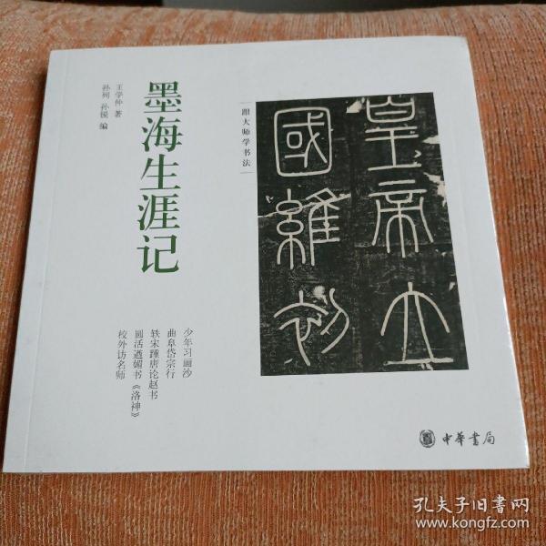 墨海生涯记（跟大师学书法）