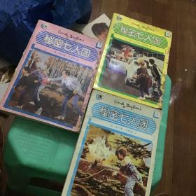 秘密七人团（上中下）：Secret Seven