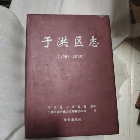 于洪区志（1991～2000）