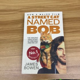 A Street Cat Named Bob