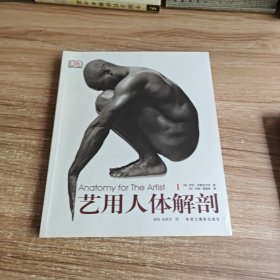 艺用人体解剖