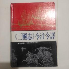 《三国志》今注今译（中）