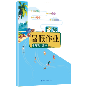 智趣暑作业 七年级 数学 人教版 初中常备综合 李兵 编