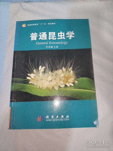 普通昆虫学