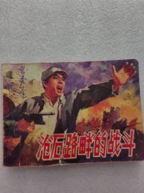 沧石路畔的战斗