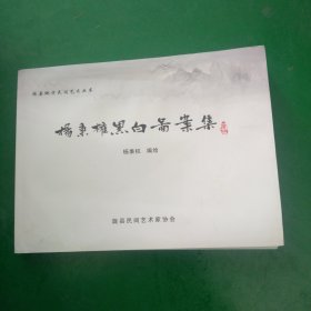 陇县地方民间艺术丛书